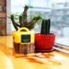 [허니엔비] 천연꿀스틱 50p