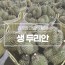 진정한 과일의 황제 생두리안 4.5kg 3수