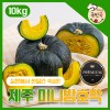 국민쿡 제주 미니 밤호박 실속형 10kg (산지직송)