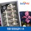 [프리미어-漁] 명품 영광참굴비 1호