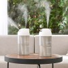 프롬비 1리터 더블미스트 무선가습기 FE243