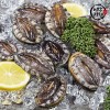 [미각기행] 완도 전복 8-9미 1kg