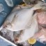 바다의 귀족이라 불리는 국내산병어 1kg (4-11미)