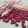 25년산 국산 팥(적두) 1kg 2봉(특품)