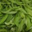 [식감최고] 잘 말린궁채 300g(특품)