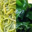 완도산 특품 염장 미역줄기 2팩+쌈다시마 2팩 (팩당 350g)