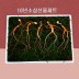 [수로산삼] 10년 소삼 5뿌리