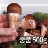 솔방 365 신선 논산 중품 참송이버섯 500g