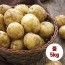 수미감자 중 5kg (40~70g 내외)
