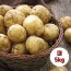 수미감자 대 5kg (중량 70~130g 내외)