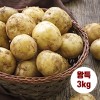 수미감자 왕특 3kg (180~280g 내외)