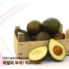 [수입과일] 비타민과 미네랄이 많은 건강과일 아보카도 10개(개당 220g 내외)