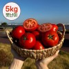 [산지직송] 달디단 국내산 신선한 완숙 찰 토마토 쥬스용(못난이) 5kg