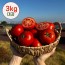 [산지직송] 달디단 국내산 신선한 완숙 찰 토마토 대과 3kg (1번과)