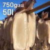 바다바람에 말린 쫄깃한 마른안주! 반건조 오징어 5미 ( 대 750g 내외 )