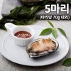 완도 활전복 5마리 마리당 70g내외