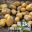 26년 햇 감자_특 2kg 찜용&요리용 중량 (110g~160g)