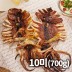 반건조 오징어(몸통&다리) 소소 700g(10미)