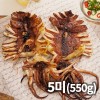 반건조 오징어(몸통&다리) 중 550g(5미)