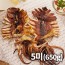 반건조 오징어(몸통&다리) 대 650g(5미)