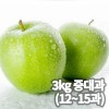 새콤 시큼 아오리/썸머킹 사과 3kg (중대과 12~15과 개당 200~240g)