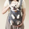 텔리 반려동물 메쉬 앞가방 그레이 (free)