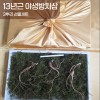 [천생삼농장] 13년근 지리산 야생방치삼 3뿌리 선물세트 (고급포장+황금보자기)