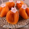 충북 영동 번건시 400g (8~12과)내외