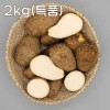 곡성 생토란 2kg(특품)