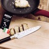 리졸리 닥터그린 셰프나이프 20cm