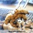 [청년농가] 고창 토종 자포니카 풍천장어 1kg 손질후 650±50g x 2 (양념2종+초생강 증정)