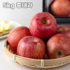 [청년농가] 안동 명품사과 특상품 선물세트 사과선물세트 5kg 중대과