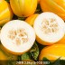[청년농가] 첫출하 성주 하우스 꿀참외(가정용) 2.5kg(6-10과 내외)
