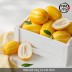 [미각기행] 성주 고당도 꿀참외 정품 대과 2kg (4-6과 내외)