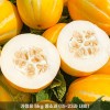 [청년농가] 성주 하우스 꿀참외 가정용 성주참외 5kg 중소과(15-23과 내외)