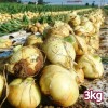 26년산 흰양파 3kg(개당 20~100g)