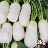 손질한 국산 총각무(알타리무) 1단 2kg 내외