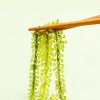 [맛투데이] 바다포도 100g