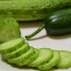 아삭하고 맛있는 백다다기 오이 5kg (포장재포함 22개 내외)