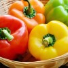 국산 파프리카 못난이 3kg (크기/색상 랜덤 개당 40~150g)