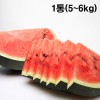 [더기다림_두] 신선한 수박 1통(5~6kg)
