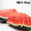 [더기다림_두] 신선한 수박 1통(5~6kg)