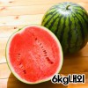 ★여름제철★ 당도보장 국내산 시원한 꿀수박 하우스수박 6kg내외