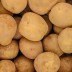 국내산 100% 고소한 26년 수미 햇감자 대 10kg (60g~100g)