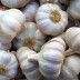 잘 건조된 국산 24년산 통마늘 1kg(특/대)
