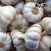 국산 26년산 통마늘(햇마늘) 1kg 내외(특/대 혼합)