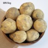 2026년 국내산 햇(노지) 수미 감자 왕특(180g~350g)/5kg