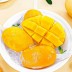 [아이스] 망고바 생과일 20개(60g*20)