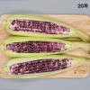 흑찰옥수수 특품 20개(껍질제거시 15cm 내외)