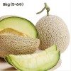 [더기다림_두] 머스크 메론 8kg(5~6수)